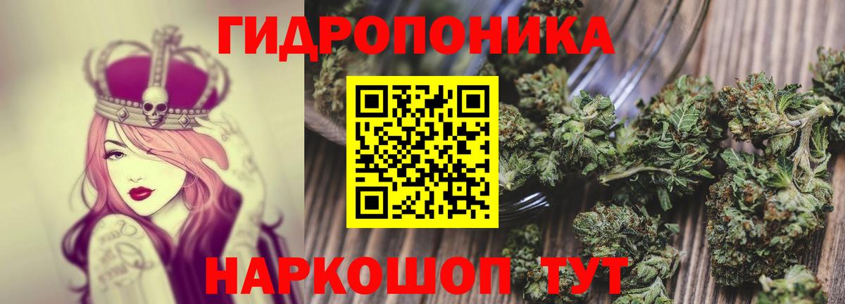 Бошки марихуана Bruce Banner  МАРИХУАНА индика  Марихуана SATIVA & INDICA  Сокол  Вход с VPN 